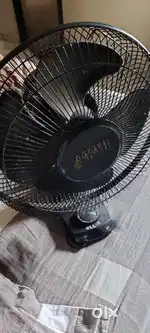 Indo table fan
