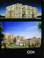 In between Podar and SS International school