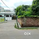 Society plot