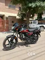 Shine 100 2024 Model