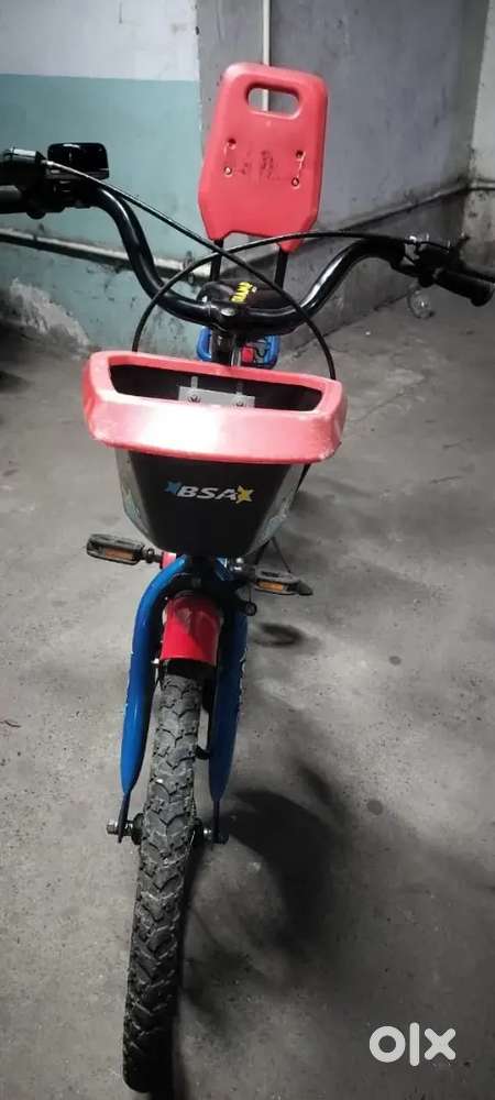 BSA Champ Star Kid's Bicycle (8-10 yrs old)