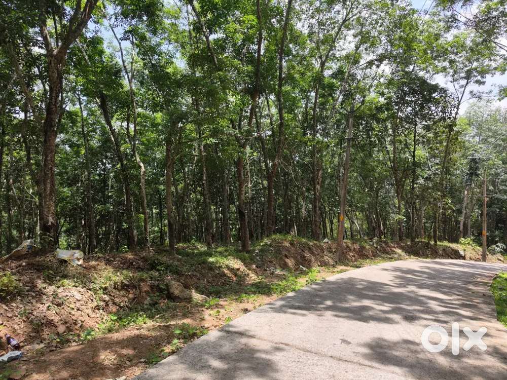 3 ഏക്കർ മരുതംമൂട് വേങ്ങമല ഭഗവതി ക്ഷേത്രത്തിനടുത്ത് സമീപം