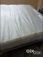 Sleepycat Mattress