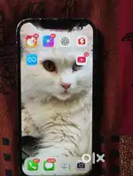 Iphone 13 dm for further info