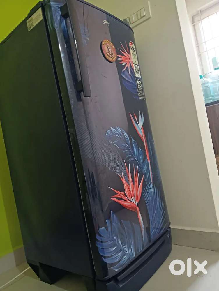 Refrigerator only 6-8 months old