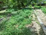 11cent land  for sale