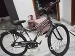 Brand new cycle