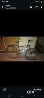 New balk calars