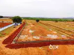 PRIME PLOTS FOR SALE