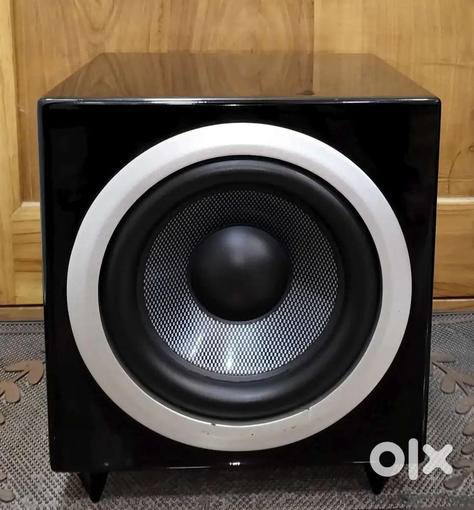 PURE ACOUSTICS 10 INCHES SUBWOOFER