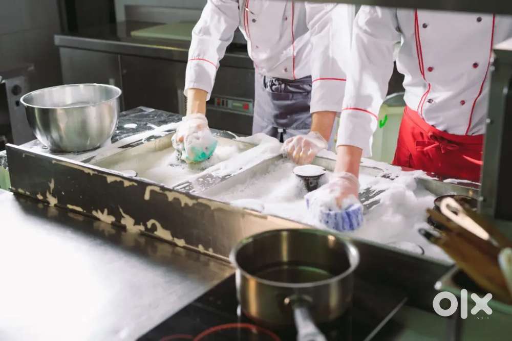 Ek helper Aur Indian cook, Kathi Roll cook ,
