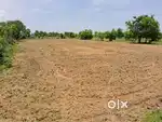 Farm land for sale