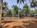 near cochin international airport
