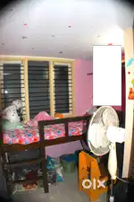 Bunk Bed for children
