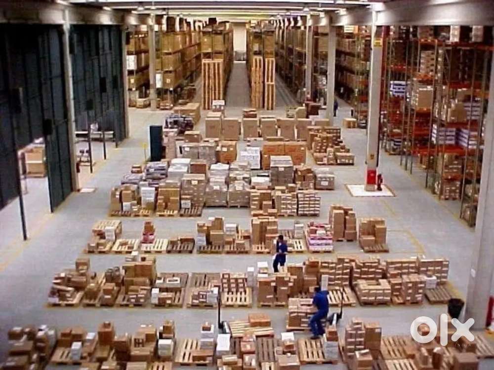 WAREHOUSE MAKING UP ON FRESHER