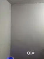 इलाहाबाद यूनिवर्सिटी से 1 किलोमीटर की दूरी पर