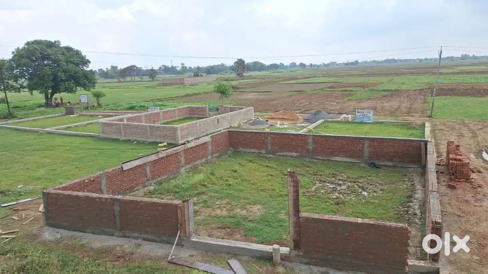 Primium plots
