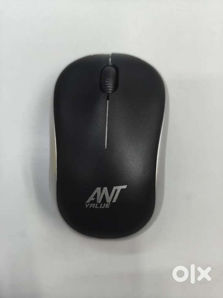 Wireless mouse & monitor