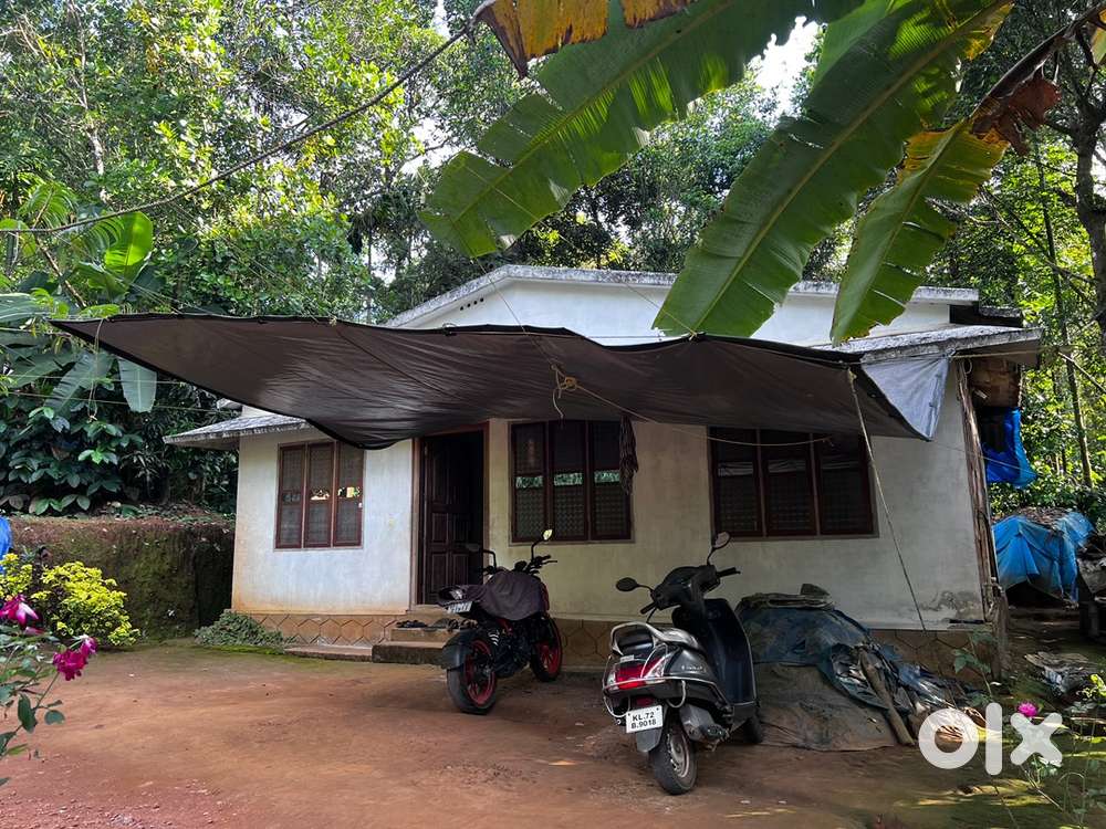 House / plot 14 cent sale