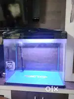 Aquarium for sale