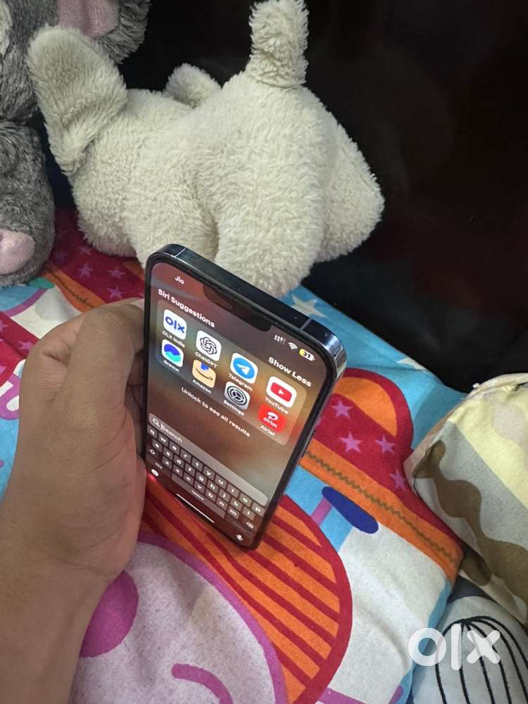 iphone 13pro max