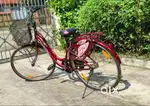 Practically unused lady's cycle, in new condition.