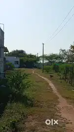 Urgent sale for vacant land