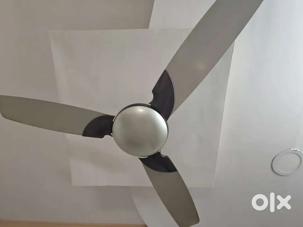 Bajaj Ceiling Fan piece of 2