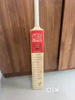 Cricket bat