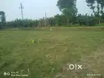 Neat and clean land