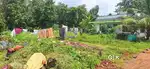 Pambakuda near 6 cent houplot with open well 1.2 lak cent opn wel wtr