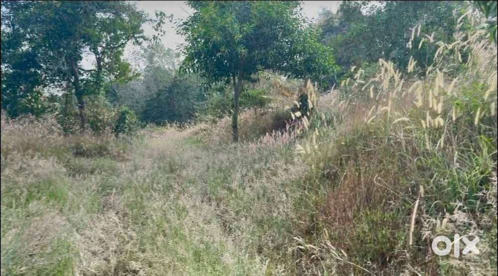 8 acres rubber plantation/can be used for quarry/granite