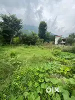 Plot For sale at Main Shamshi , Main Bajaura, Mohal.