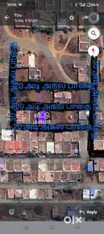 30×51.6 plots