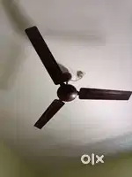 Ceiling fans