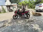 I am a car driver. I found car driver job.