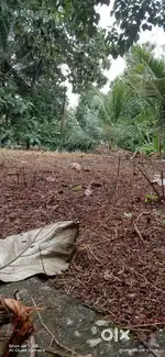 4 cent    land  for sale near  azhikode maruthinakam