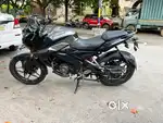 Pulsar NS 160 - Grey Color