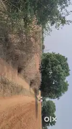 5 Acrs Land For Sale