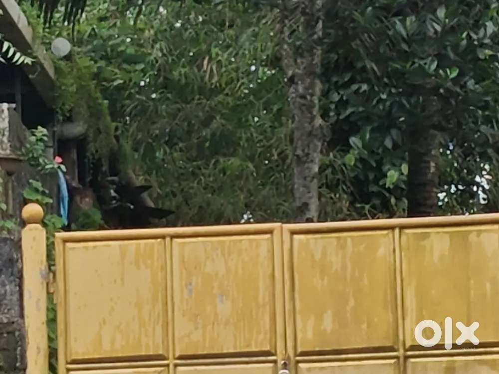 7.650 CENTS DRY LAND FOR SALE AT SOORYA GARDENS, ENIKKARA