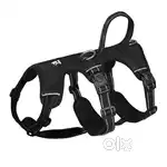 No pull escape proof harness