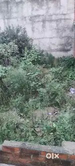 आवासीय प्लॉट