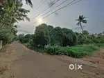 SALE / 3 ACRES LAND / PANANGAD