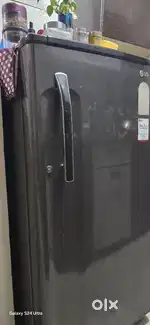 Standard LG Fridge