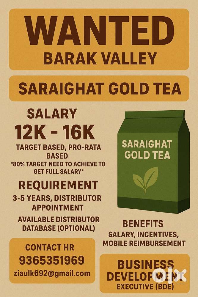 Business Development Executive