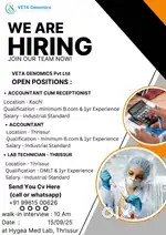 Accountant