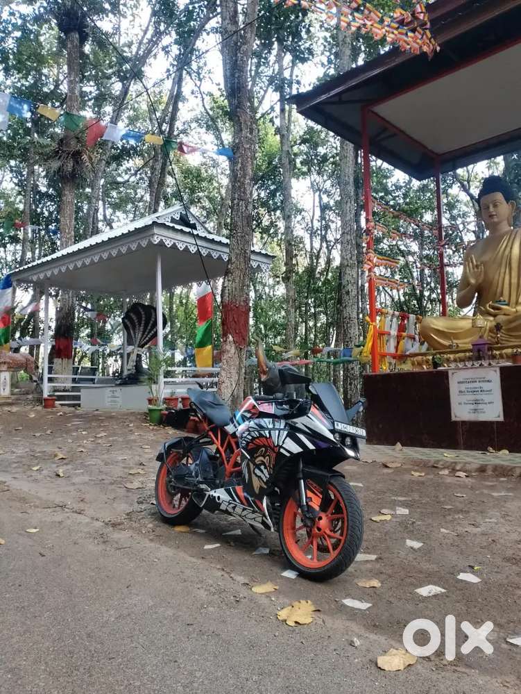 Model 2019 All documents up-to-date