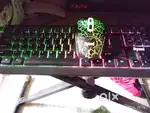 Keyboard +mouse (RGB)