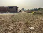 Land for sale. Location harsa dabber nr deoli Bishnah
