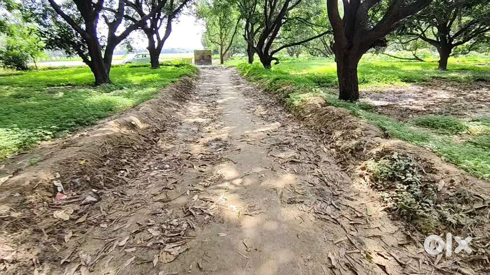 गाँव और शहर से जुड़ी हुई शानदार कृषि भूमि रोड के पास खरीदे